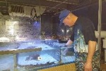 Here Fishy