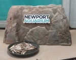 Aquarium