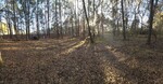 Wider Perspective