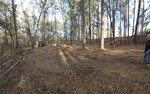 Broader Clearing