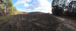 Cotton Field