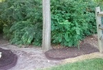 Pathway