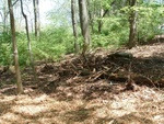 Earth Day 19
