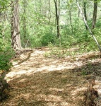 Earth Day 23