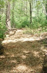 Earth Day 24