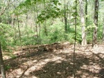 Earth Day 25