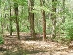 Earth Day 28
