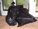 Spring Cleaning 06