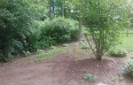 Before Left
