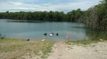 Sugar Grove
