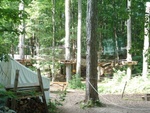Treetop Trekking 02