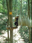 Treetop Trekking 08
