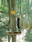 Treetop Trekking 09