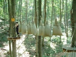 Treetop Trekking 10