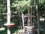 Treetop Trekking 11