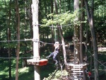 Treetop Trekking 12