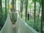 Treetop Trekking 15