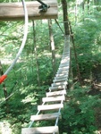 Treetop Trekking 16