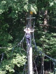 Treetop Trekking 21