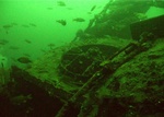 Wrecked 29