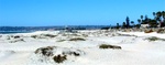 San Diego 11