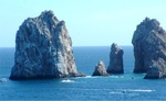 Riviera Cruise 40