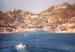 Riviera Cruise 50