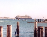 Riviera Cruise 54