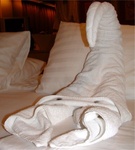 Riviera Cruise 62