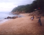 Riviera Cruise 88