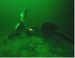 River Wrecks 18
