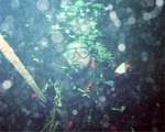 River Wrecks 20