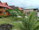 Kona Celeb 05
