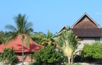 Kona Celeb 08