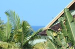 Kona Celeb 09