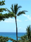Kona Land 01