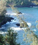 Kona Land 29