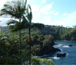 Kona Land 32