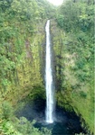 Kona Land 49