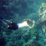 Kona Sea 08