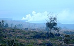 Ring Fire 65