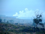 Ring Fire 66