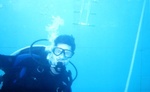 More Wrecks 14