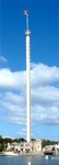 Gobble 40