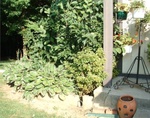 Driveway Redo 03