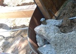 Stair Upgrade 15