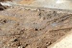Driveway Redo 26