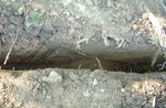 Main Line 06