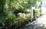 Yard Work 05