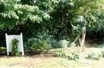 Yard Work 07